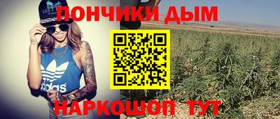 a pvp Камышлов