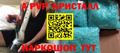 прущие грибы Кандалакша