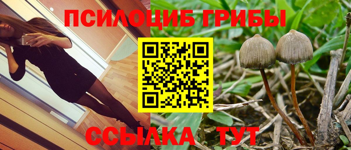 Переславль-Залесский  Галлюциногенные грибы Magic Shrooms  Вход с VPN 